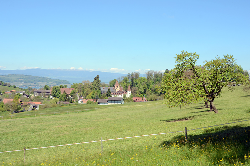 Münchenwiler