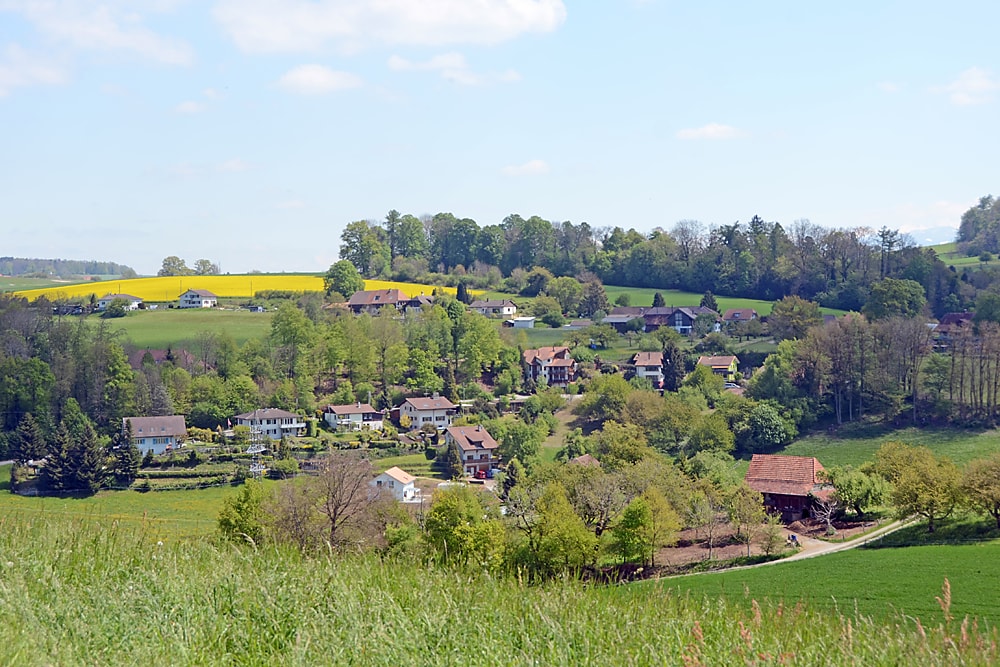 Münchenwiler