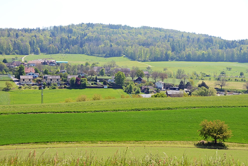 Münchenwiler