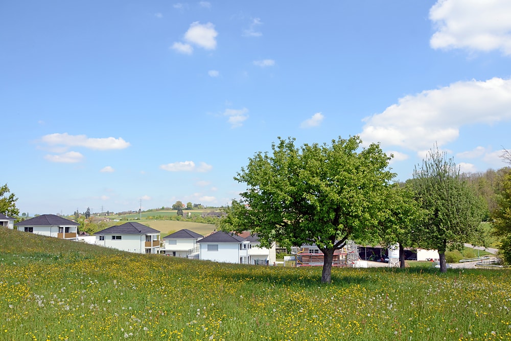 Münchenwiler